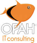 OPAH IT Consulting Cliente ProMove